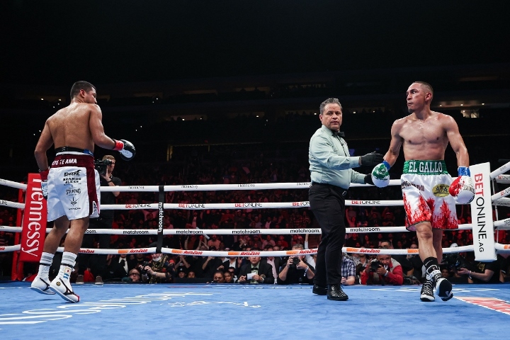 estrada-chocolatito-trilogy (27)