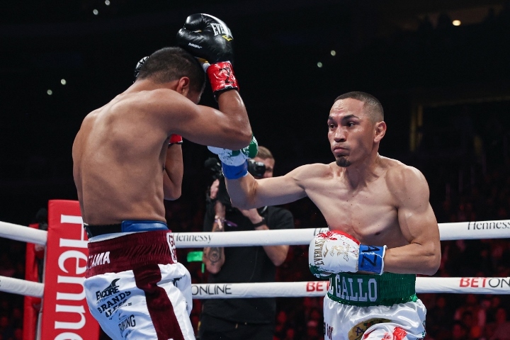 estrada-chocolatito-trilogy (4)