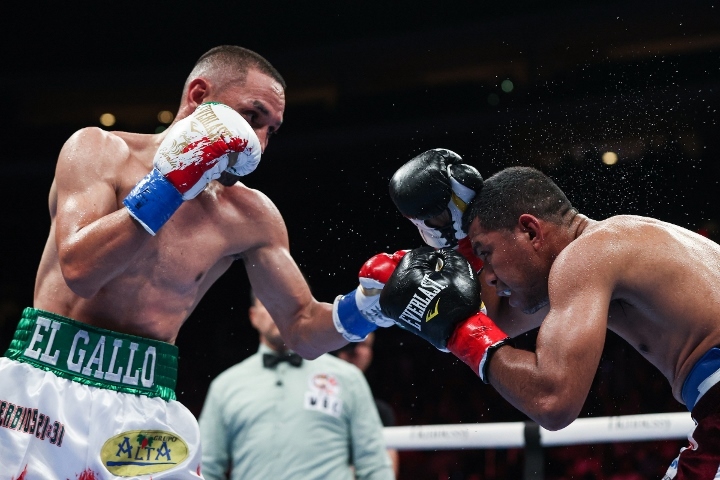 estrada-chocolatito-trilogy (6)