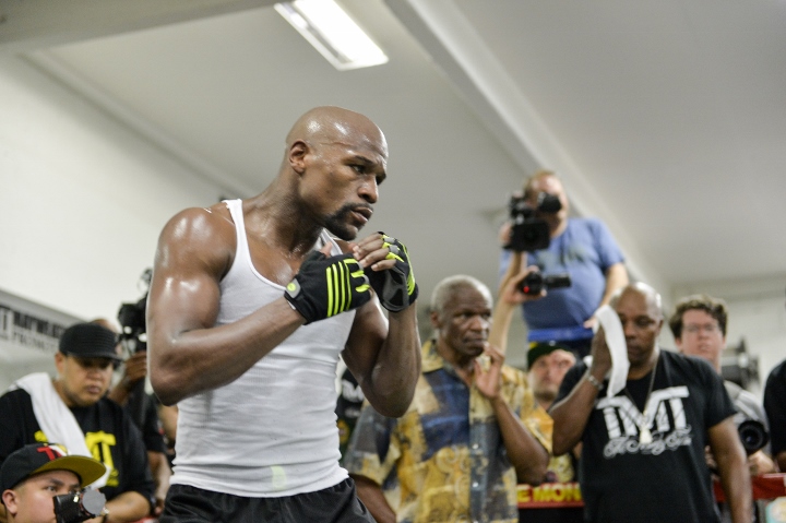 Mayweather vs. Logan Paul - Boxing News