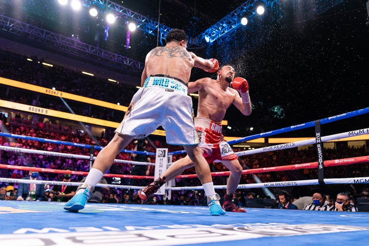 guerrero-ortiz-fight-hafey (21)