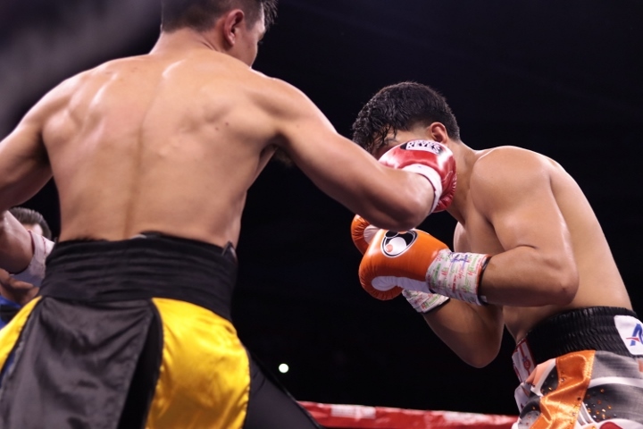 munguia-coria-fight (5)