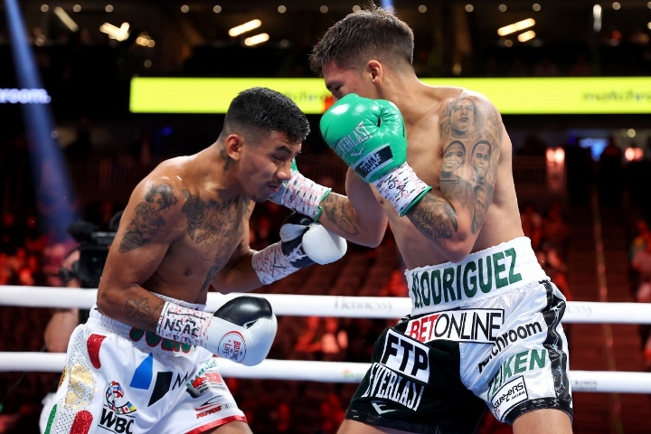 rodriguez-gonzalez-fight (3)